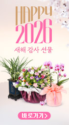 �ö����Ƽ ��ȹ��