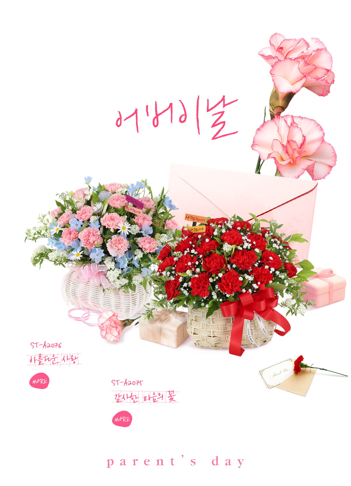 2025 ����̳�