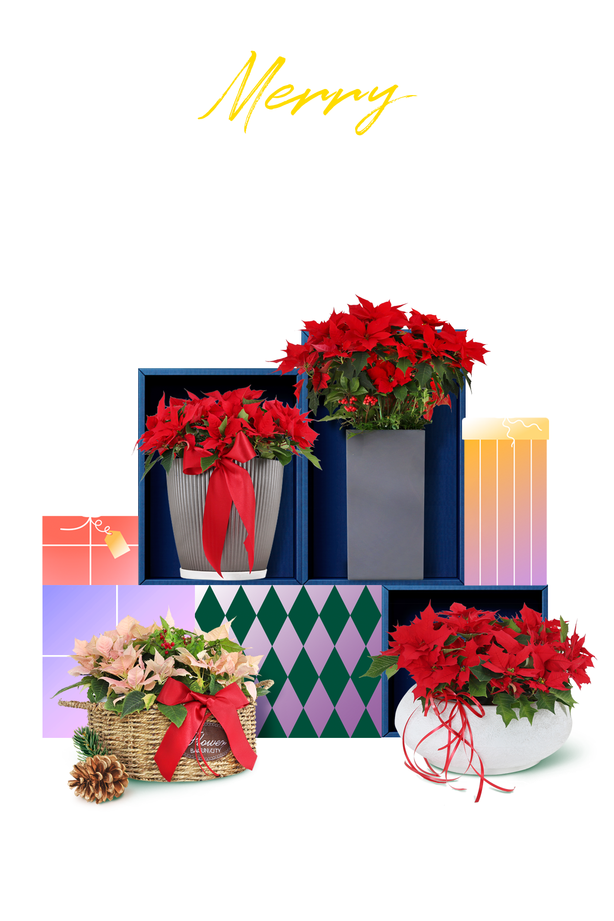 2025 ���μ�Ƽ��