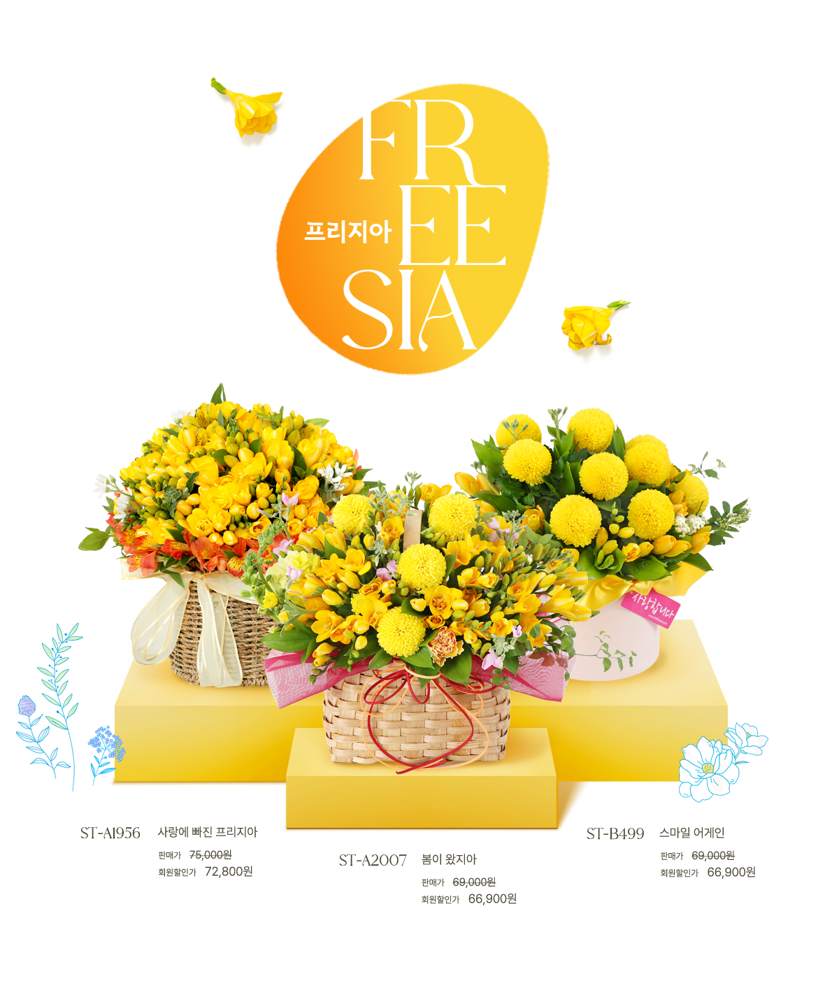 2025 ��������