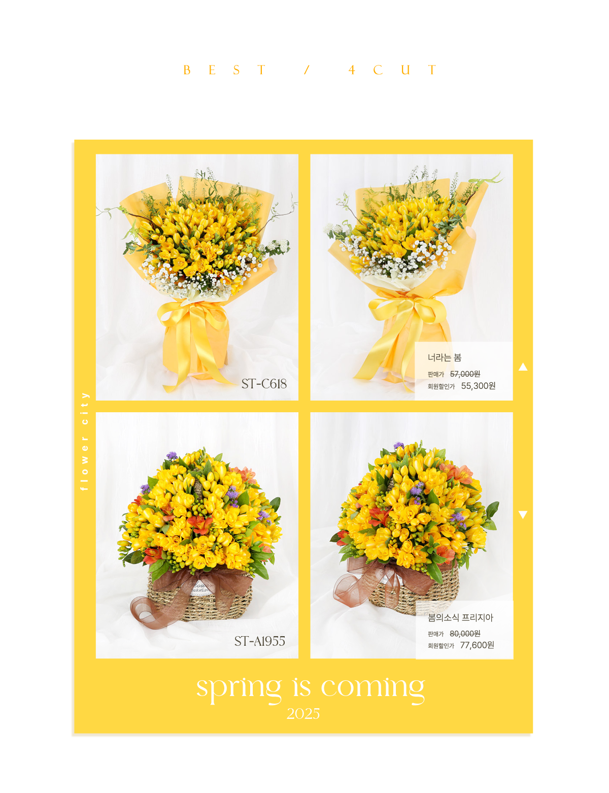 2025 ��������