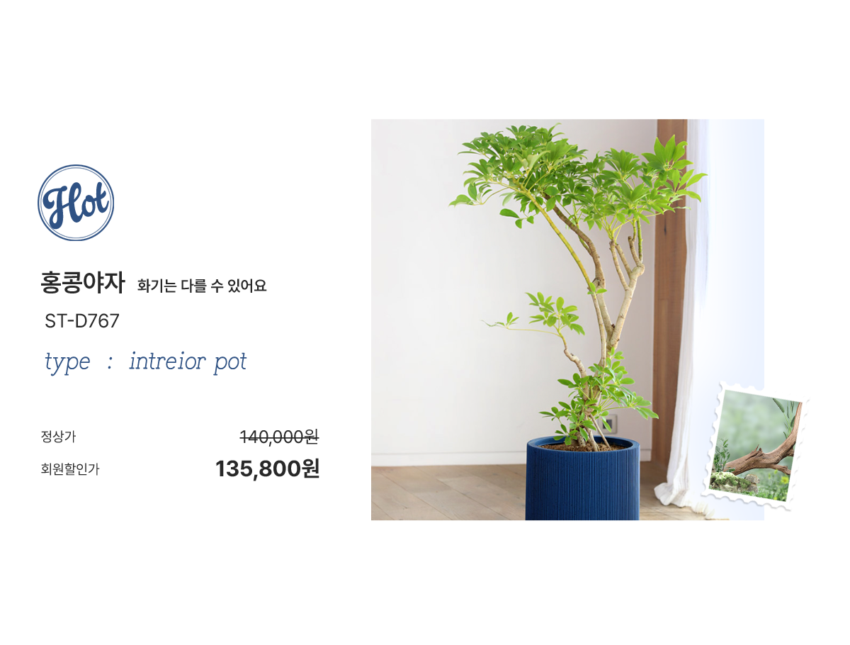 2025 여름기획전