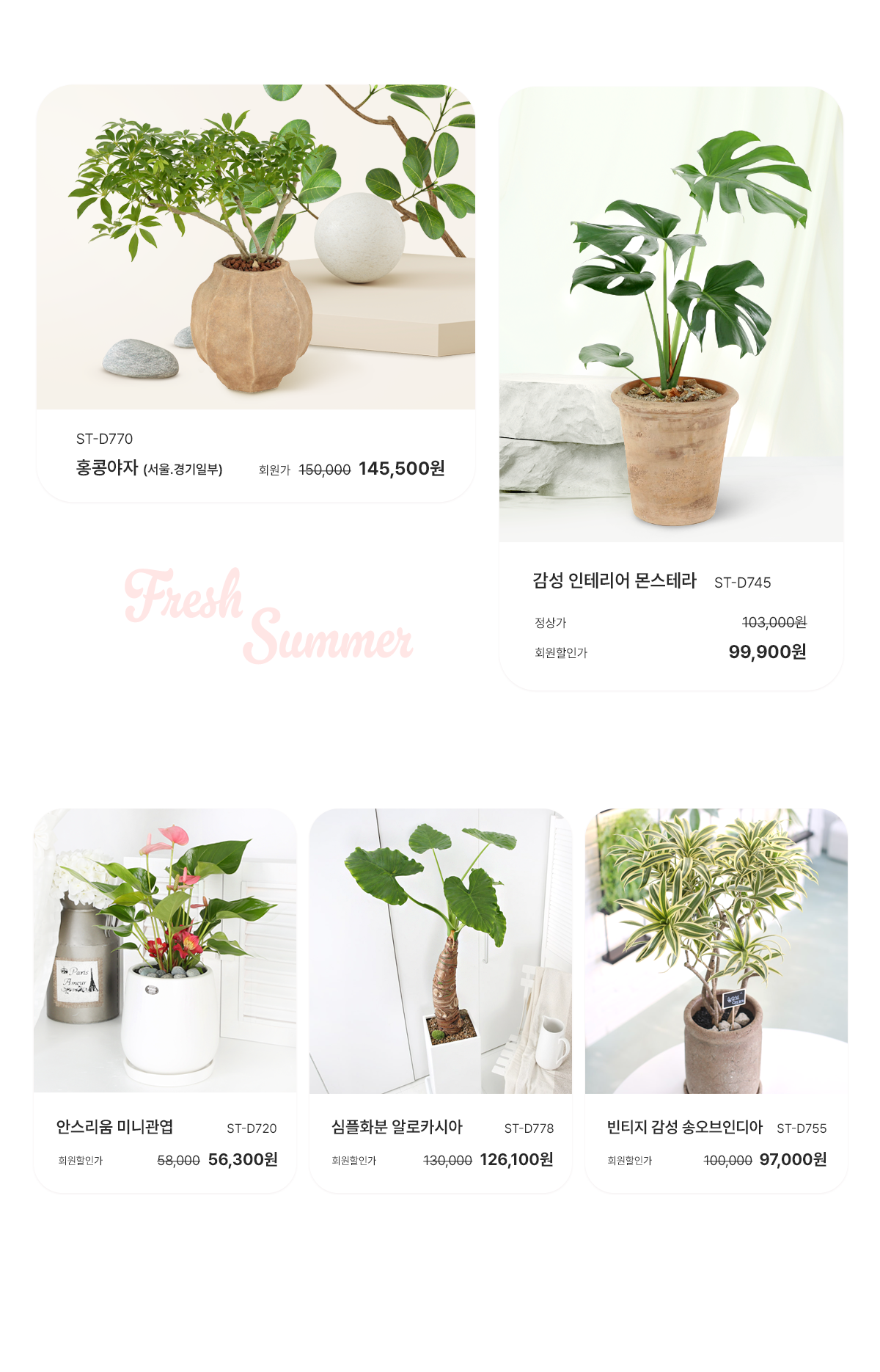 2025 여름기획전